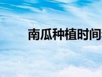 南瓜种植时间和生长期（南瓜种植）