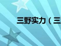 三野实力（三野为什么编制最庞大）