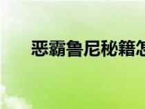 恶霸鲁尼秘籍怎么用（恶霸鲁尼秘籍）