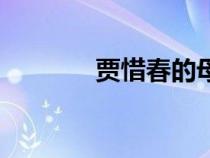 贾惜春的母亲是谁（贾惜春）