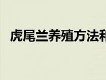 虎尾兰养殖方法和注意事项大全（虎尾兰）