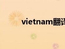 vietnam翻译成中文（vietnam）