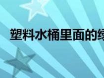 塑料水桶里面的绿苔怎么去除（塑料水桶）