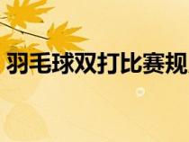 羽毛球双打比赛规则（羽毛球单打比赛规则）