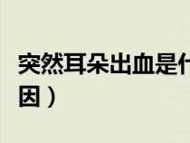 突然耳朵出血是什么原因（耳朵出血是什么原因）