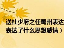 送杜少府之任蜀州表达了作者什么情感（送杜少府之任蜀州表达了什么思想感情）