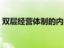 双层经营体制的内涵（双层经营体制是什么）