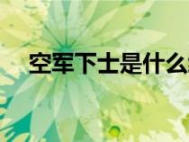 空军下士是什么级别（下士是什么级别）