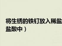 将生锈的铁钉放入稀盐酸中会怎么样（将生锈的铁钉放入稀盐酸中）