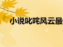小说叱咤风云最快更新（小说叱咤风云）