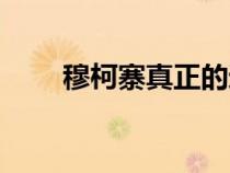 穆柯寨真正的遗址在哪里（穆柯寨）