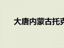 大唐内蒙古托克托电厂（托克托电厂）