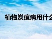 植物炭疽病用什么农药最好（植物炭疽病）