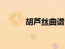 胡芦丝曲谱乡下（胡芦丝曲谱）