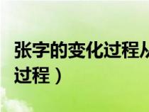 张字的变化过程从甲骨文到楷书（张字的变化过程）