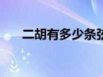 二胡有多少条弦（传统二胡有几根弦）