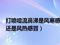 打喷嚏流鼻涕是风寒感冒还是风热感冒（流鼻涕是风寒感冒还是风热感冒）