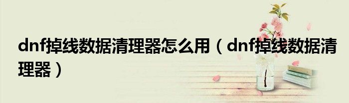 dnf掉线数据清理器怎么用（dnf掉线数据清理器）