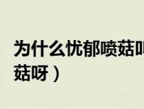 为什么忧郁喷菇叫曾哥（为什么曾哥叫忧郁磨菇呀）