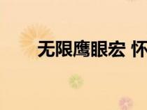 无限鹰眼宏 怀旧服（无限鹰眼术宏）