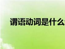 谓语动词是什么动词（谓语动词是什么）