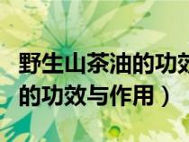 野生山茶油的功效与作用有哪些（野生山茶油的功效与作用）