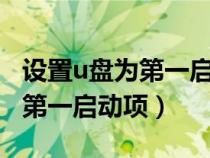 设置u盘为第一启动项找不到u盘（设置u盘为第一启动项）