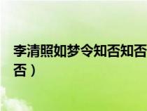 李清照如梦令知否知否红瘦指的是什么花（李清照如梦令知否）