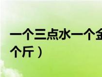 一个三点水一个金字是什么字（一个三点水一个斤）