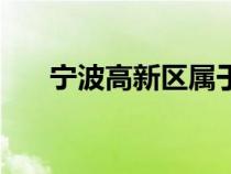 宁波高新区属于哪个区（宁波高新区）