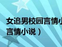 女追男校园言情小说推荐有简介（女追男校园言情小说）