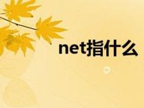 net指什么（neta是什么意思）