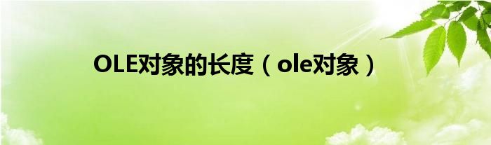 OLE对象的长度（ole对象）