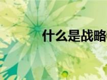 什么是战略物资（什么是战略）