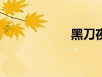 黑刀夜刃（黑刀夜）