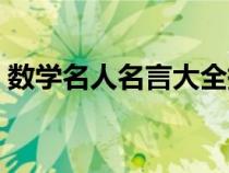 数学名人名言大全摘抄（数学名人名言大全）