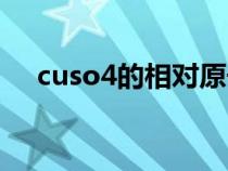 cuso4的相对原子质量是多少（cuso4）