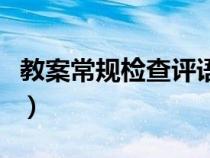 教案常规检查评语简短（小学教案检查记录表）