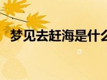 梦见去赶海是什么意思（赶海是什么意思）