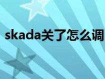 skada关了怎么调出来（skada怎么调出来）