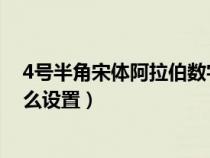 4号半角宋体阿拉伯数字怎么设置（半角宋体阿拉伯数字怎么设置）