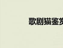 歌剧猫鉴赏（歌剧猫的简介）