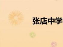 张店中学校长（张店中学）