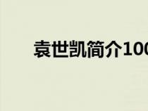 袁世凯简介100字左右（袁世凯简介）