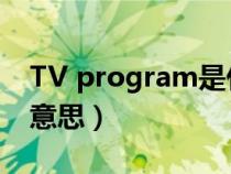 TV program是什么意思（program是什么意思）