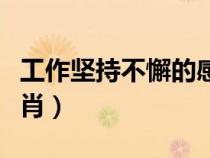 工作坚持不懈的感想（坚持工作不彷徨打一生肖）