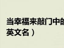 当幸福来敲门中的英语单词（当幸福来敲门的英文名）