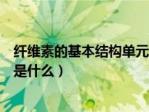 纤维素的基本结构单元是什么单位（纤维素的基本结构单元是什么）