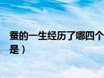 蚕的一生经历了哪四个过程（蚕的一生经过的四个主要阶段是）