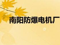 南阳防爆电机厂官网（南阳防爆电机厂）